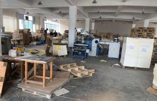 溫州富婆10年付出600萬(wàn)包養(yǎng)男友，卻遭拳擊身亡，愛(ài)與背叛的警示